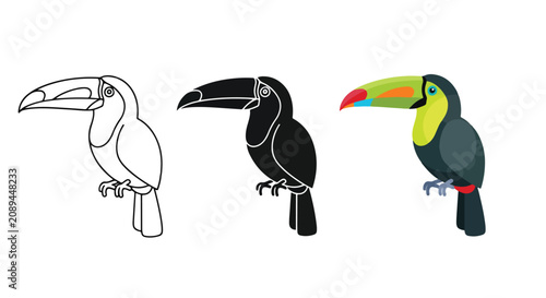 Colorful toucan bird vector icon set: Solid vector icons - Clipart, sticker - icon set - Editable modern style icon