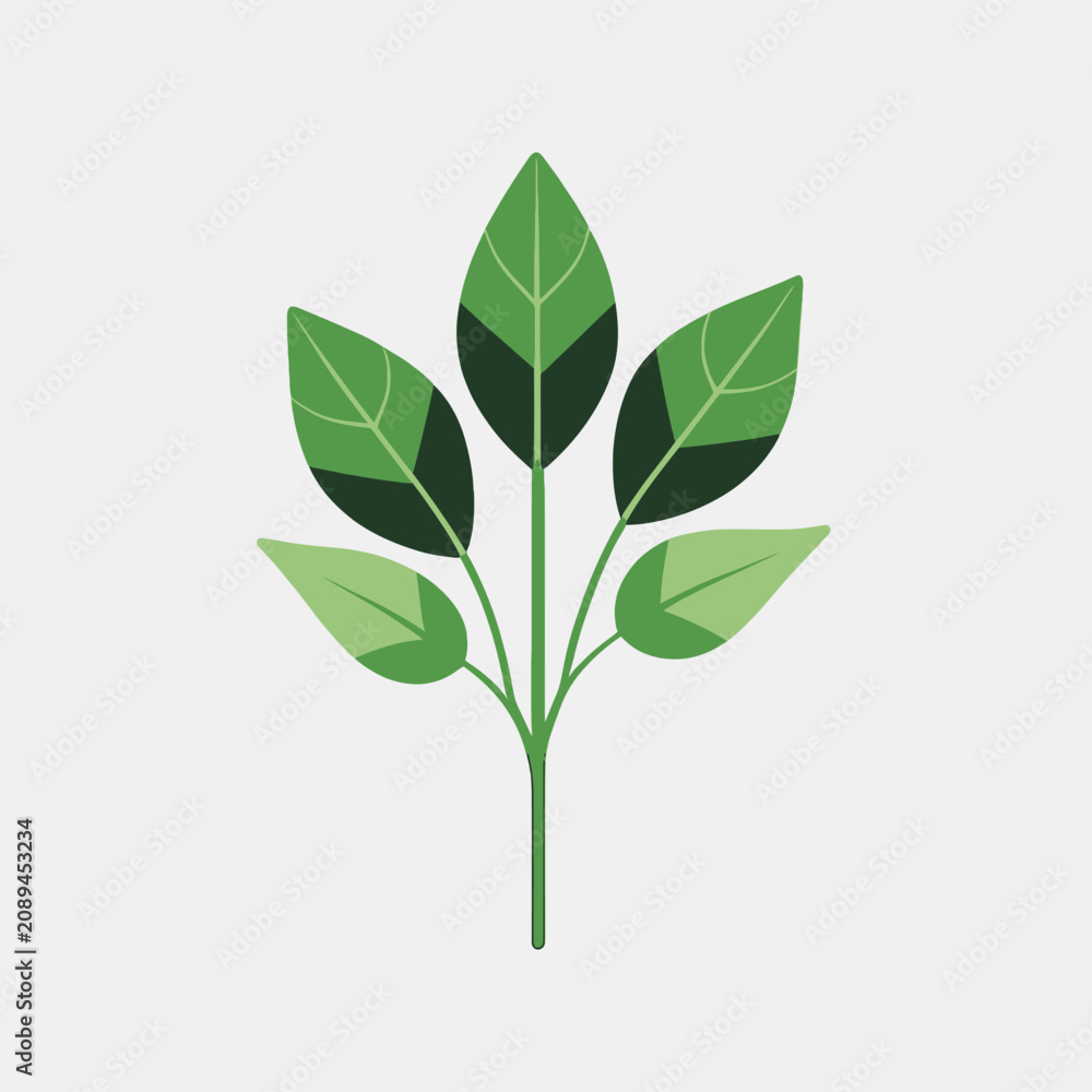 Fototapeta premium Green leaves on a stem illustration.