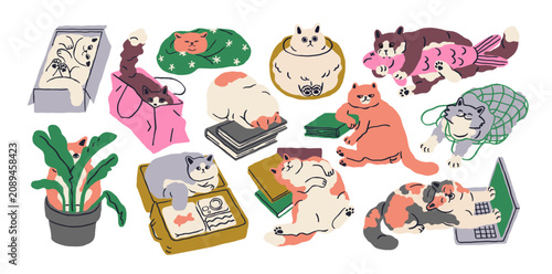 Funny cats set. Feline animals sitting in box, hiding inside bag, behind plan...