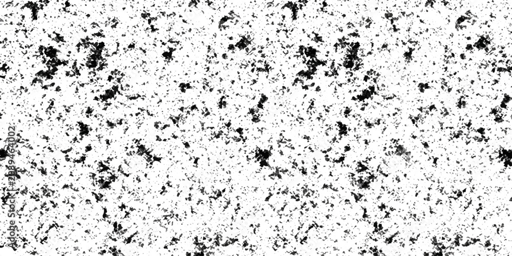 Fototapeta premium Black and white speckled texture background.