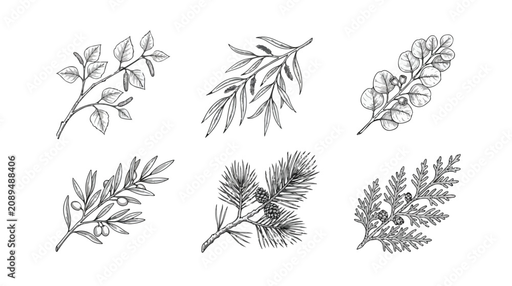 Fototapeta premium Hand Drawn Botanical Vector Set of Plant Branches, Leaves, and Berries Isolated