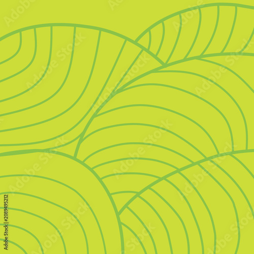 Abstract Green Minimalist Pattern Resembling Vineyard Rows and Landscape Texture. Minimalist Green Leaf line Pattern Background with Linear Texture