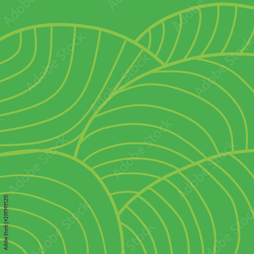 Abstract Green Minimalist Pattern Resembling Vineyard Rows and Landscape Texture. Minimalist Green Leaf line Pattern Background with Linear Texture