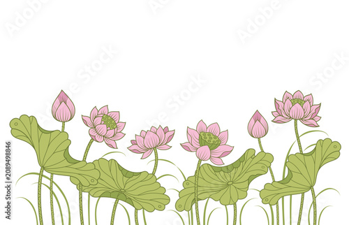 Pink Lotus flower and lotus leaf asia style vector illustation