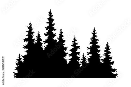 Fir trees silhouette. Coniferous spruce horizontal background pattern, black evergreen woods vector illustration. Beautiful hand drawn panorama of coniferous forest