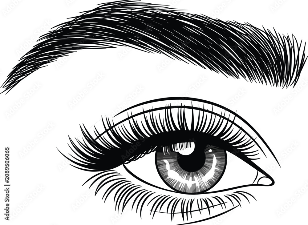 Obraz premium Beautiful female eye and eyebrow, hand drawn sketch vector illustration for beauty salon makeup card
