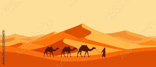 camel in the desert