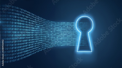 Digital Key: Unlocking Data Security in Binary Code Networks