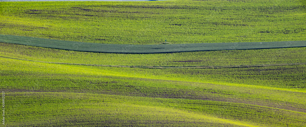 Fototapeta premium green fields, Moravia, Czech Republic, around the village Kyjov
