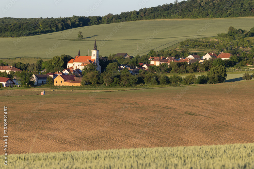 Fototapeta premium green fields, Moravia, Czech Republic, around the village Kyjov
