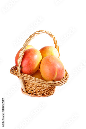 Konstfotografi Fresh Hainan Mangoes in Wicker Basket - Premium Quality Sweet Tropical Fruits on