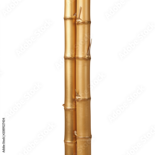 Golden bamboo stalks with natural texture against a clean backdrop isolated on transparent background