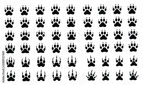 Photography A large collection of diverse black animal paw print icons and illustrations for