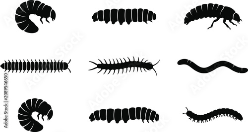 Bild auf Leinwand Caterpillar and Millipede Silhouette Vector Collection with Worm and Larva Insec