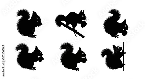 Squirrel silhouette vector set, black forest animal icons on white background, collection of 6 squirrel shapes eating nuts and climbing branches
