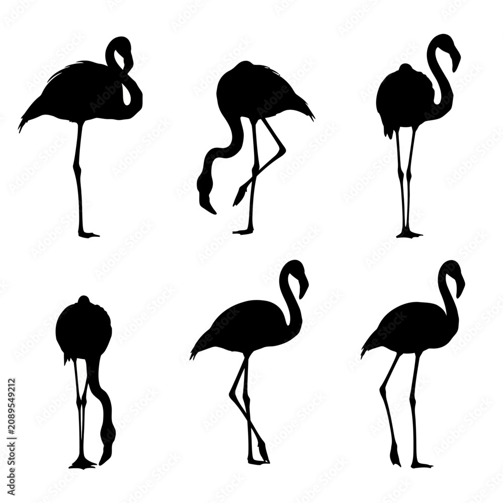 Obraz premium Flamingo silhouette vector set, black tropical bird icons in various poses, 6 exotic wading bird elements for summer design projects