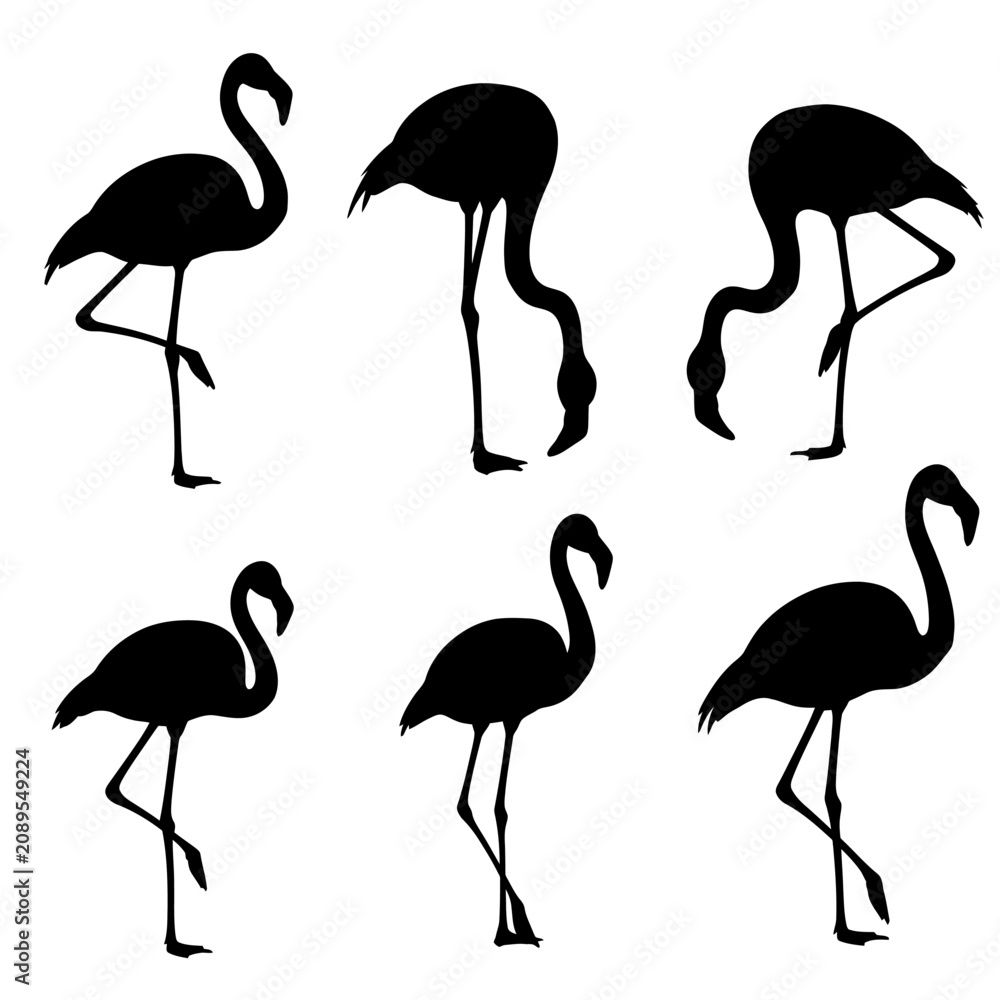 Obraz premium Flamingo silhouette vector icons, set of 6 tropical bird silhouettes in various poses, black exotic animal shapes on white background
