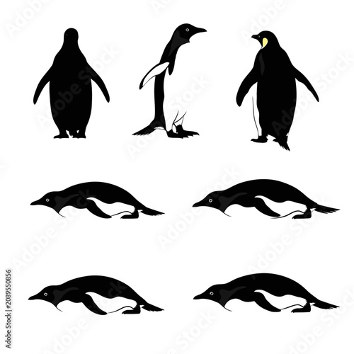 Penguin silhouette vector set, black and white emperor penguin icons in standing and swimming poses, arctic wildlife animal graphics