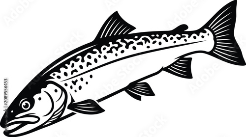 Bild auf Leinwand Trout fish illustration freshwater trout species silhouette