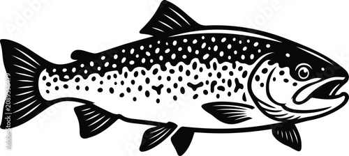 Photos Trout fish illustration freshwater game fish species