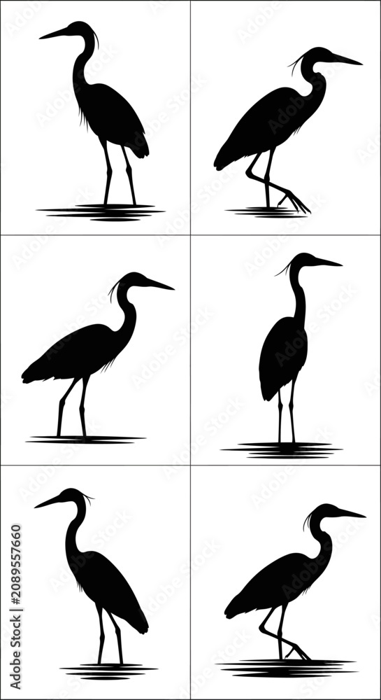 Obraz premium Heron silhouette vector collection, 6 black crane bird icons, standing egret water bird shapes for nature logo design and wildlife graphics