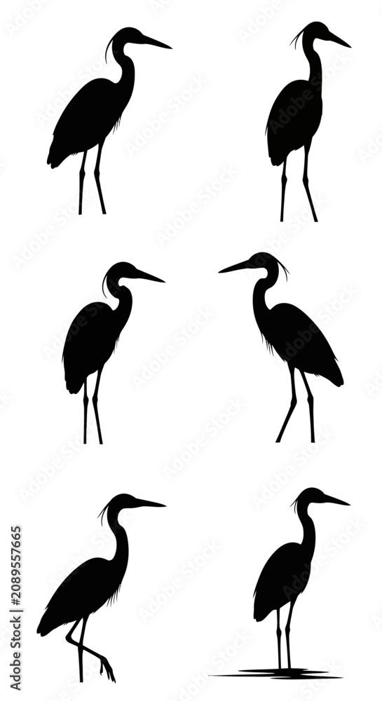 Obraz premium Heron bird silhouette collection, 6 black crane and egret vector icons, minimalist wading bird shapes for nature logo design and wildlife graphics