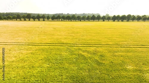 Aerial view of agricultural wheat field landscape