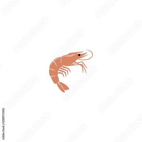 Minimalist orange shrimp vector graphic illustration on a clean white background