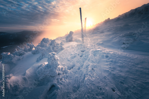 Bild auf Leinwand Close up of ski poles or wooden markers on a frozen mountain summit at sunset