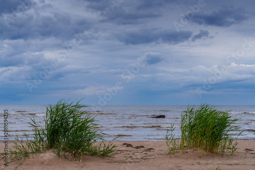 Ostseestrand an einem Sommertag