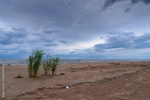 Baltic Sea coast