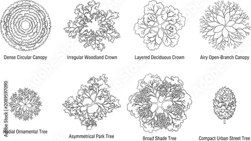 Foto Top View Tree Canopy Outline Collection for Landscape Architecture Site Plans an