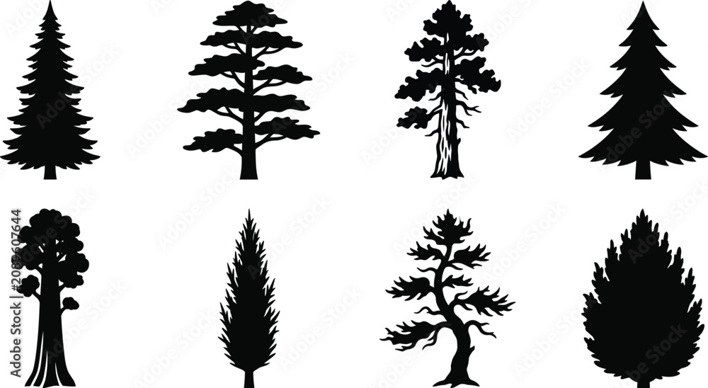 Fototapeta premium Conifer Tree Silhouette Collection with Pine Fir Cedar and Evergreen Forest Vector Set