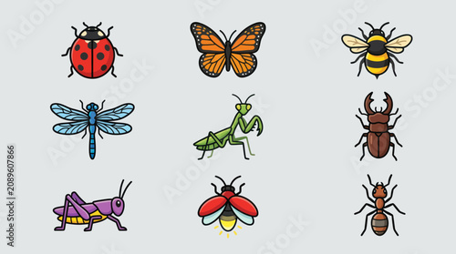 Canvastavla Collection of diverse insect illustrations