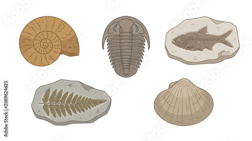 Set of Prehistoric Fossil Illustrations Featuring Ammonite, Trilobite, Ancient Fish, Fern Leaf and Shell