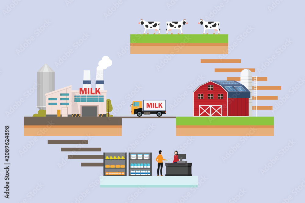 Fototapeta premium Milk production from pasture cows and livestock farm to factory processing and supermarket checkout 2d flat vector illustration