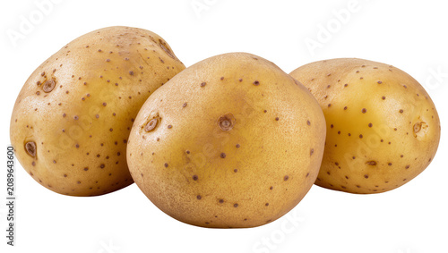 Canvas-taulu Isolated three fresh whole unpeeled potatoes with natural skin texture and visib