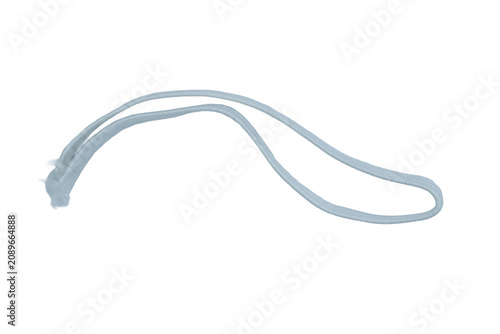 Fotografía Long elastic band loop used for garment making isolated on white on png backgrou