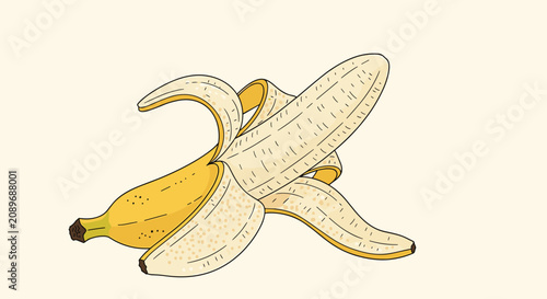 Peeled yellow banana illustration showing the fruit half-exposed on a cream background for healthy food or nutrition concepts.