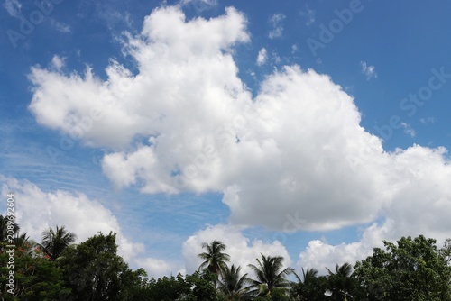 Cloudy blue sky and forest trees