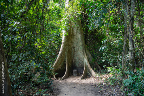 THAILAND NAKHON NAYOK KHAO YAI NATIONALPARK HAEW NAROK WATERFALL