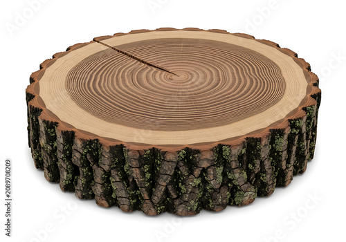 Wooden log stump with mossy bark