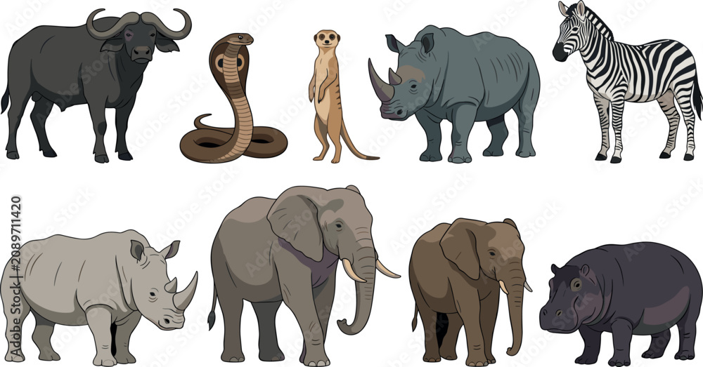 Obraz premium African Wildlife Wild Animals Vector Illustration Set Featuring Elephant, Rhinoceros, Zebra, Hippopotamus, Buffalo, Cobra, and Meerkat for Safari and Nature Designs