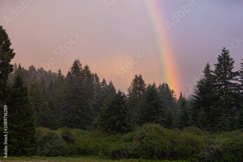 Photos A rainbow arises from a darkened forest