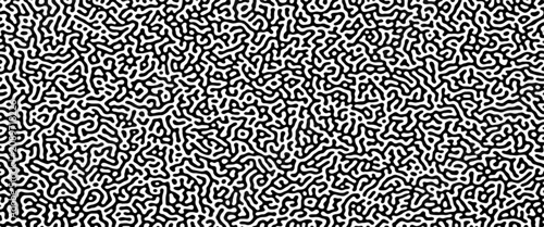 Fotografía Turing reaction diffusion monochrome seamless pattern with chaotic motion