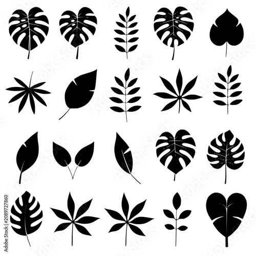set of leaves