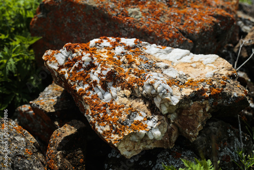 Foto Quartz rock covered with orange lichen