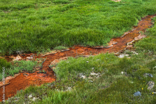 Cuadro en lienzo Iron rich mineral stream flowing through alpine meadow