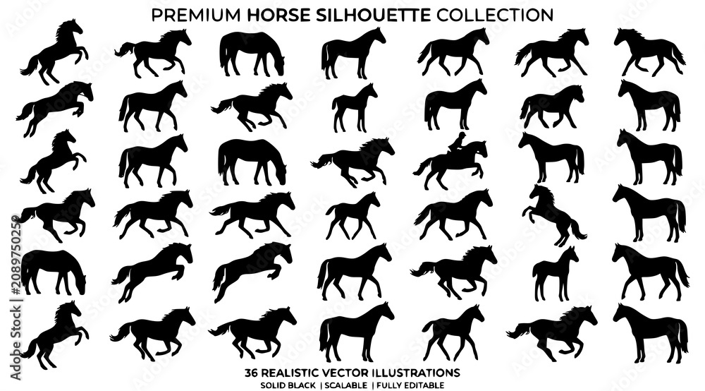 Obraz premium Horse Silhouette Bundle Vector Collection for Animal and Wildlife Designs
