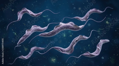 3d illustration of trypanosoma brucei parasites, the cause of sleeping sickness